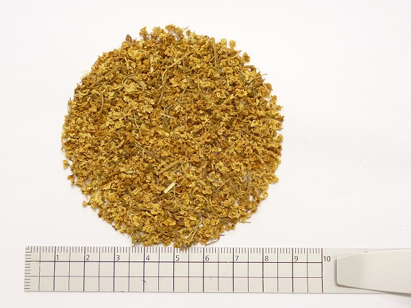 エルダーフラワー